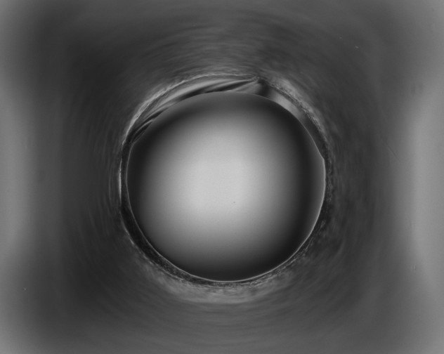 X0000087680011200705041037