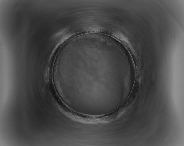 X0000087680012200705041037