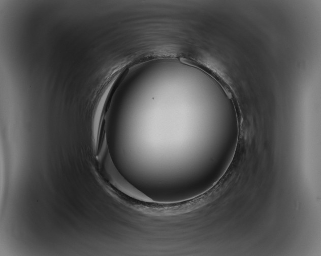 X0000087680013200705041037