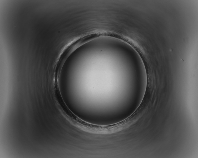 X0000087680015200705041037
