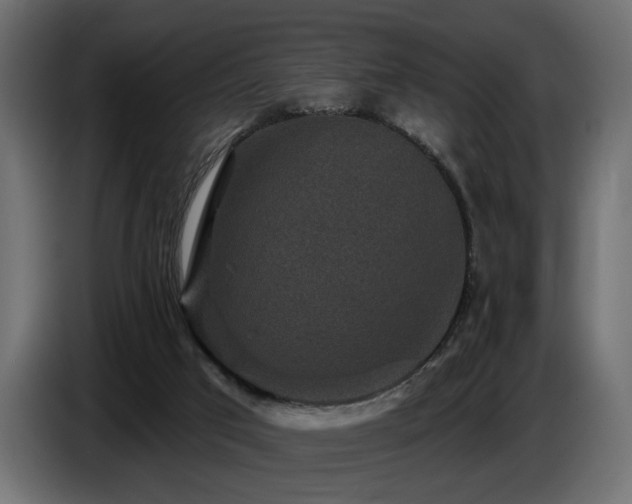 X0000087680017200705041037
