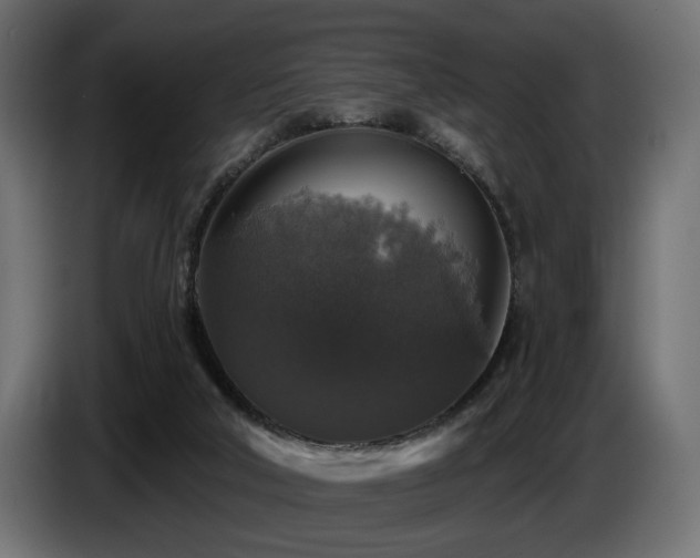 X0000087680018200705041037
