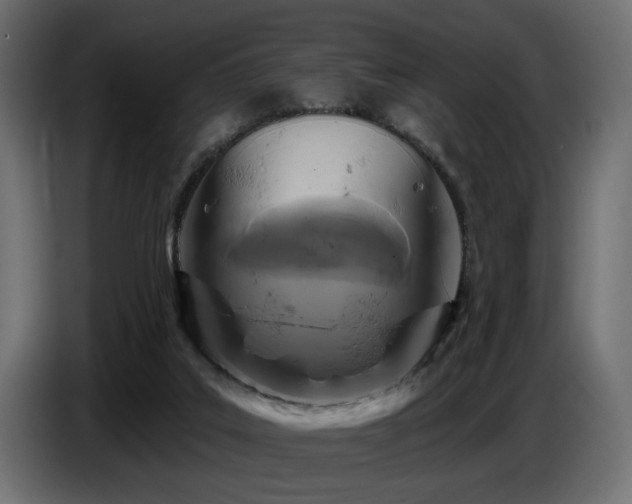 X0000087680019200705041037