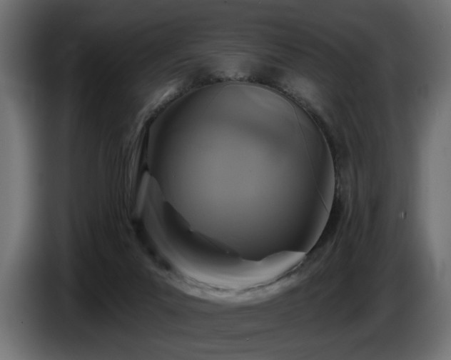 X0000087680023200705041037