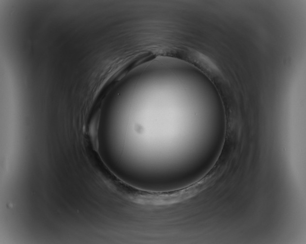 X0000087680025200705041037