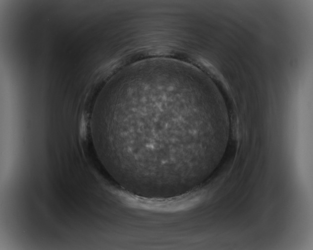 X0000087680026200705041037