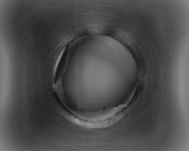 X0000087680027200705041037