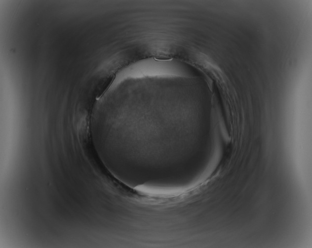 X0000087680029200705041037