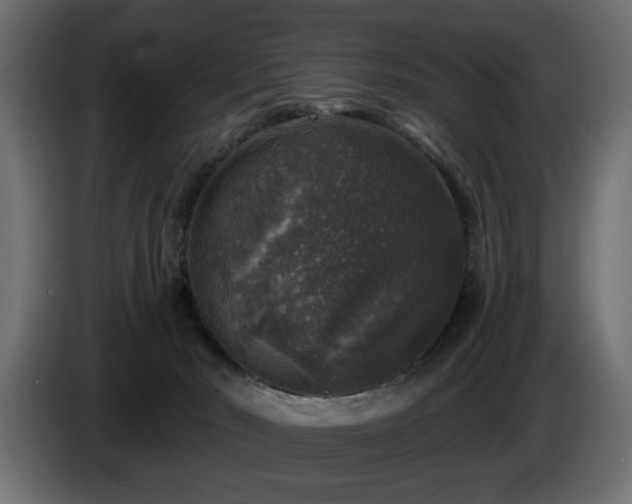 X0000087680030200705041037
