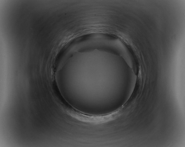 X0000087680031200705041037