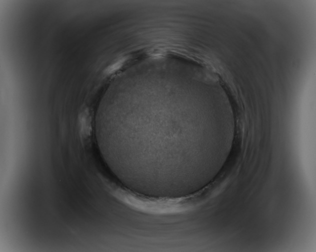 X0000087680032200705041037