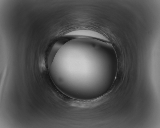 X0000087680033200705041037