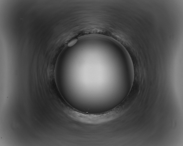 X0000087680034200705041037