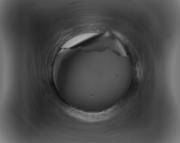 X0000087680035200705041037