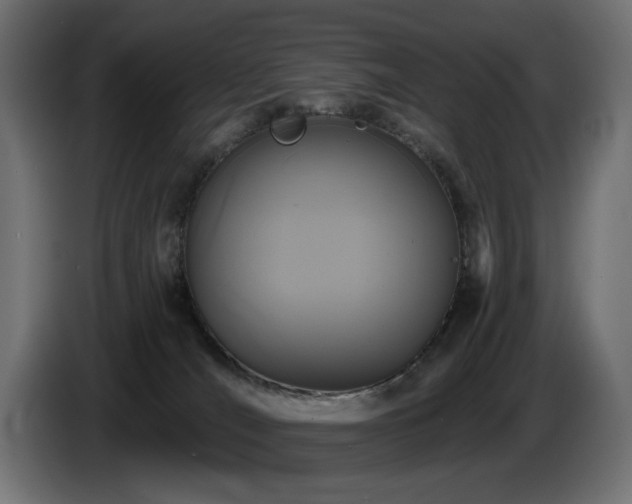 X0000087680036200705041037