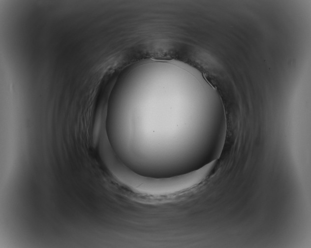 X0000087680037200705041037