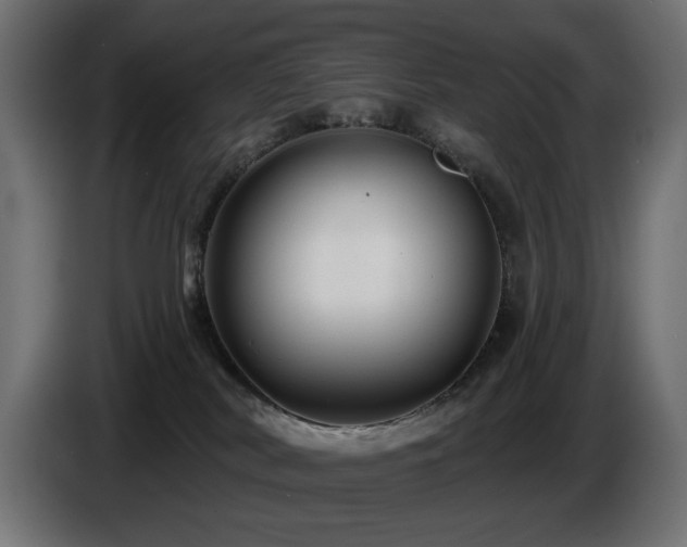 X0000087680038200705041037