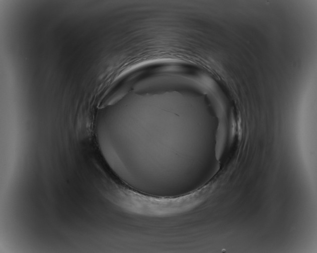 X0000087680039200705041037
