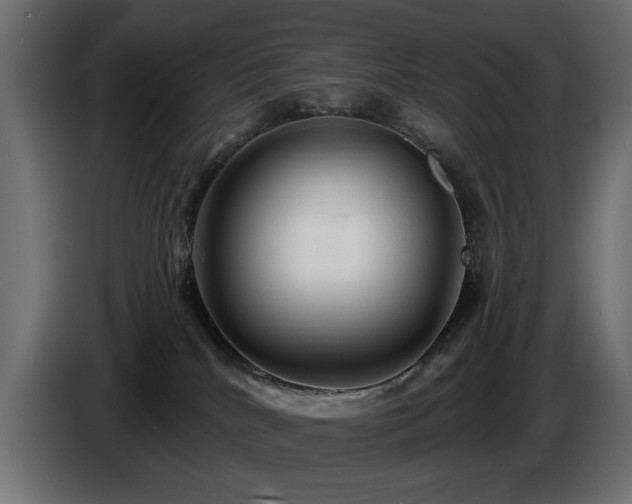 X0000087680040200705041037