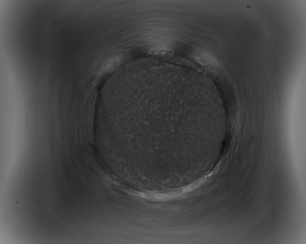 X0000087680041200705041037