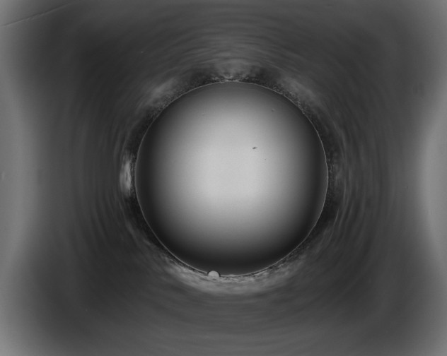X0000087680042200705041037