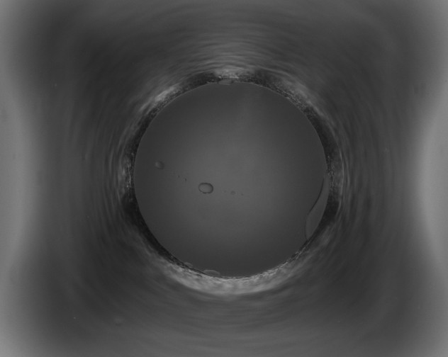 X0000087680043200705041037