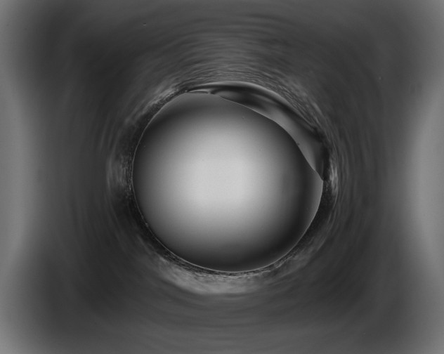 X0000087680044200705041037