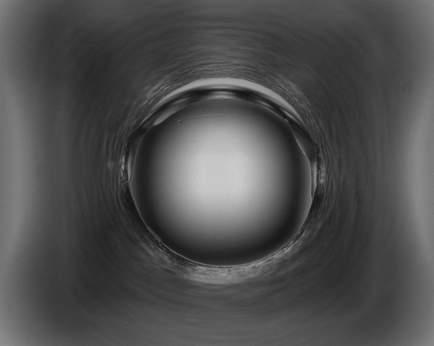 X0000087680045200705041037