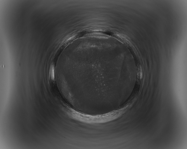 X0000087680046200705041037