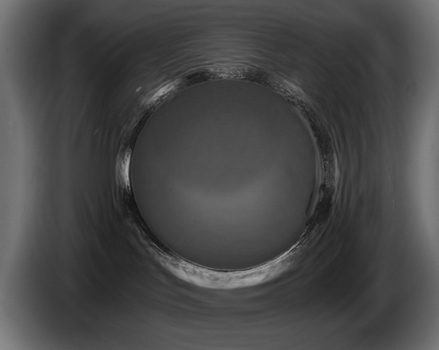 X0000087680047200705041037
