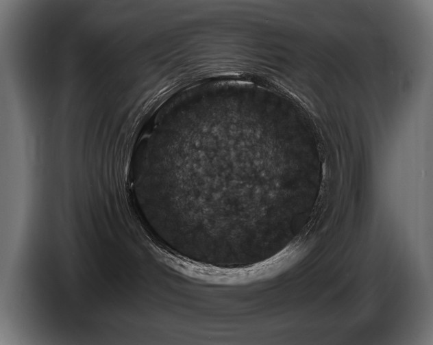 X0000087680048200705041037