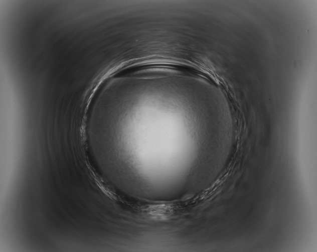 X0000087680050200705041036