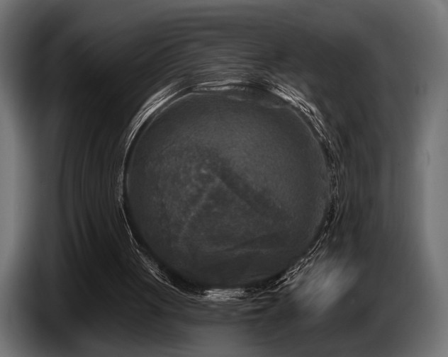 X0000087680051200705041036