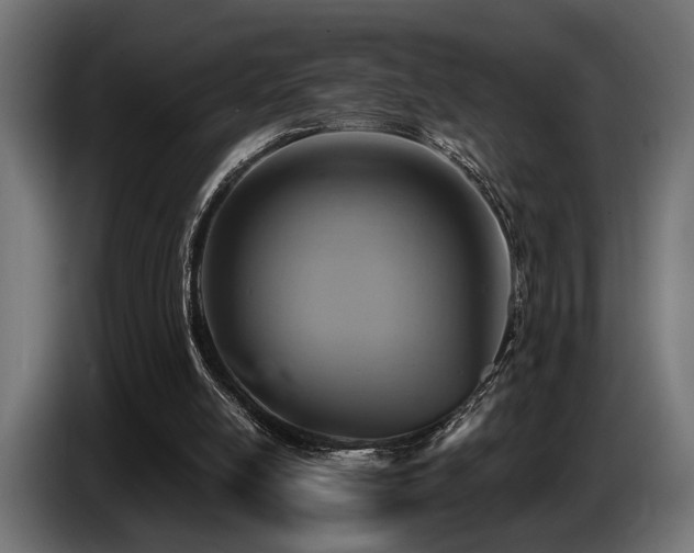 X0000087680054200705041036