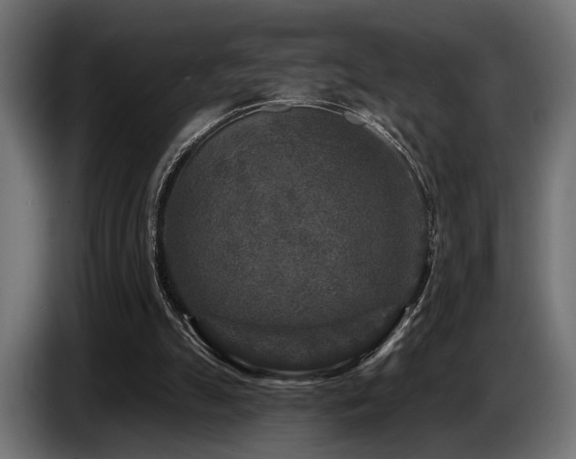 X0000087680055200705041036
