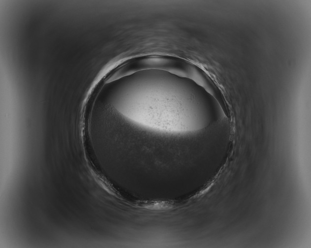 X0000087680056200705041036