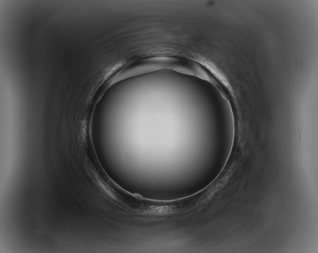 X0000087680057200705041036