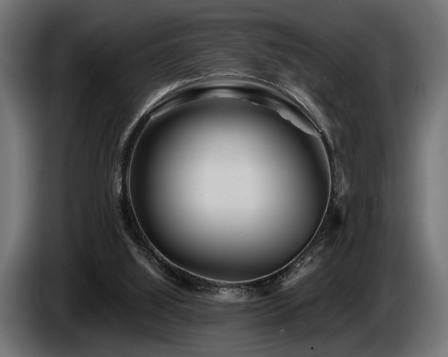 X0000087680060200705041036