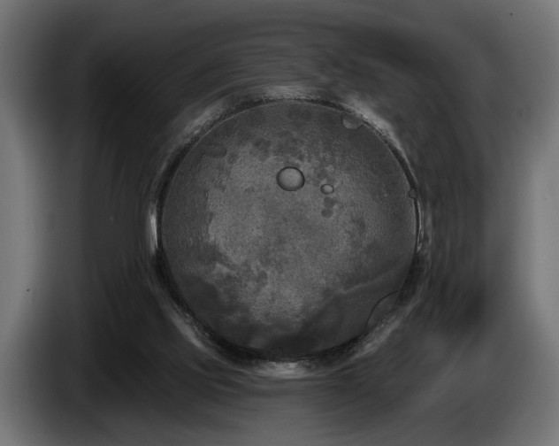 X0000087680061200705041036