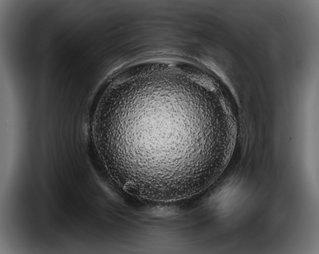 X0000087680063200705041036
