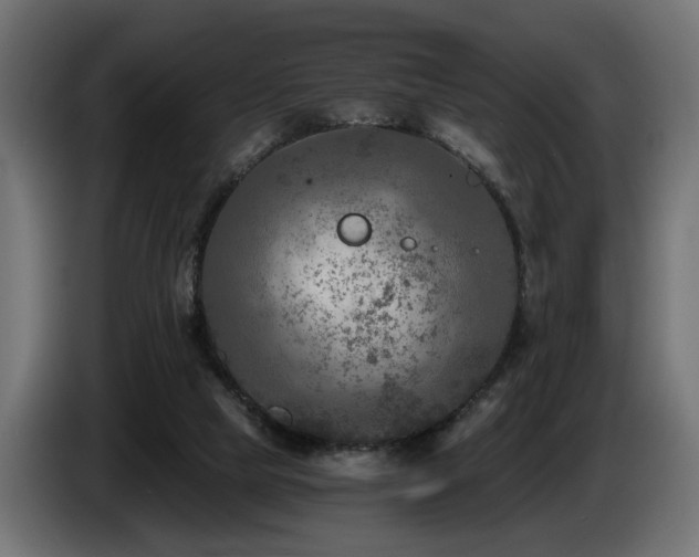 X0000087680065200705041036