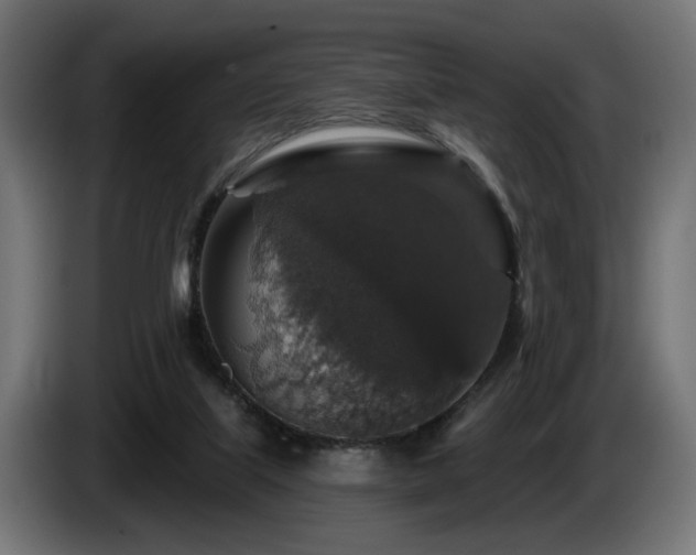 X0000087680067200705041036