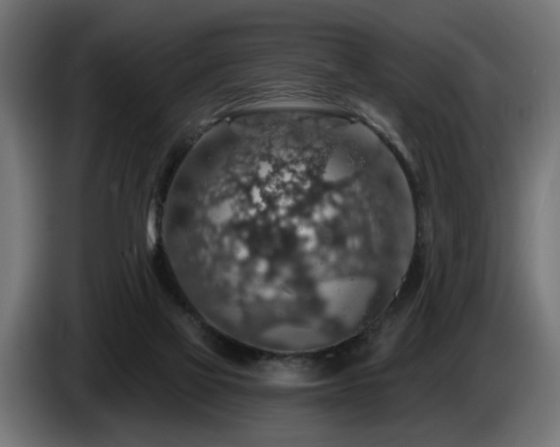 X0000087680069200705041036