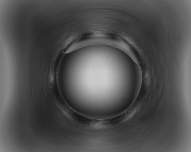 X0000087680072200705041036