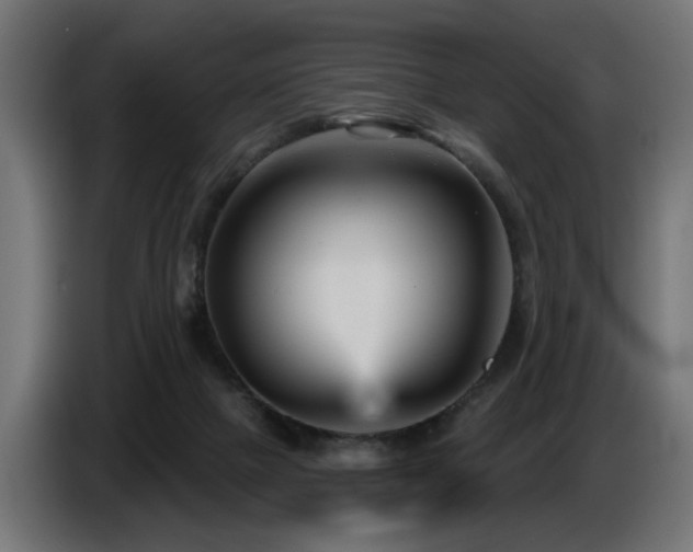 X0000087680073200705041036