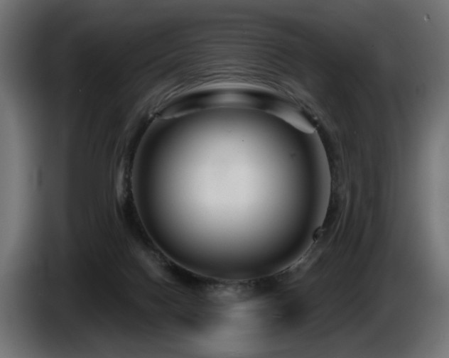 X0000087680074200705041036