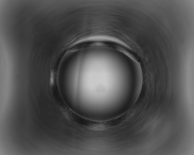 X0000087680075200705041036