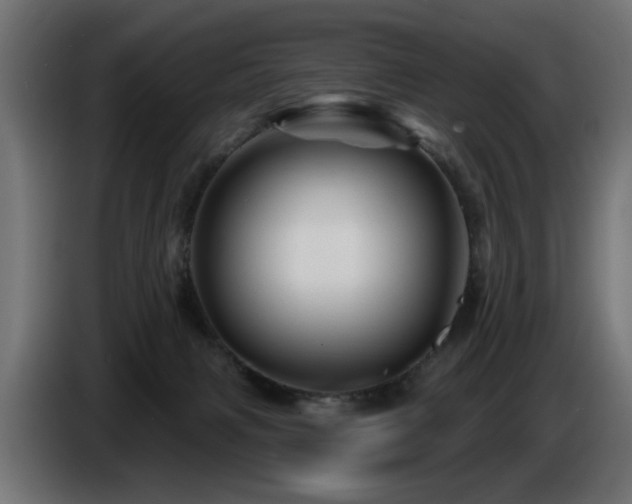 X0000087680079200705041036