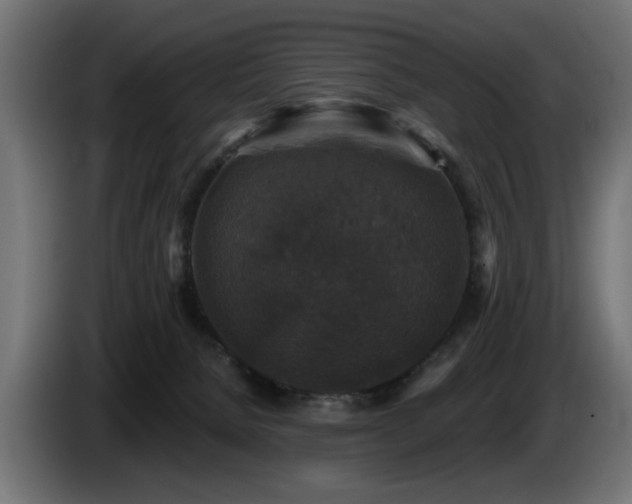 X0000087680080200705041036