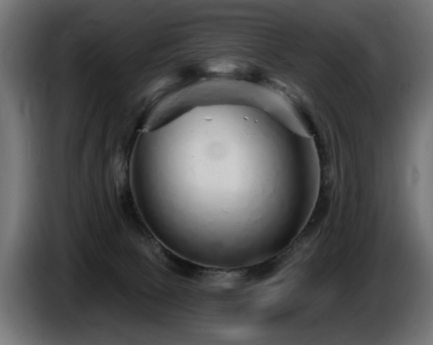 X0000087680081200705041036